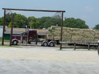 Large load of timothy hay
